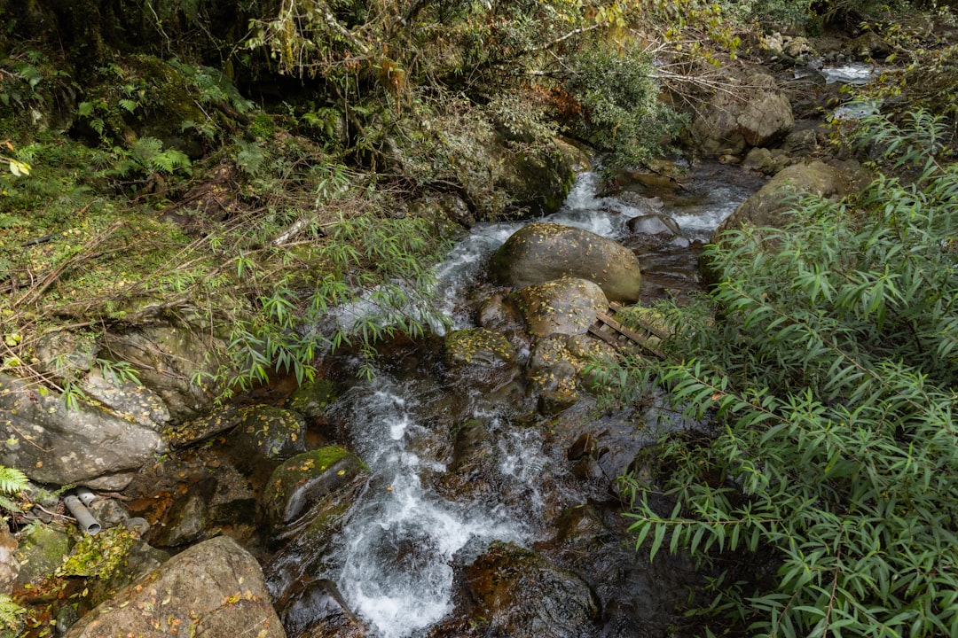 The Complete Water Purification Guide: 7 Methods Without Electricity